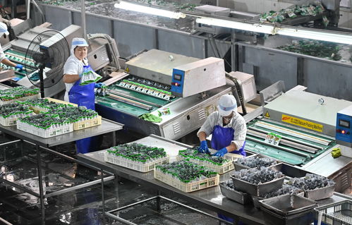 疫情之下福建漳州食品企業(yè)轉(zhuǎn)向工業(yè)潤(rùn)滑油科技研發(fā)的積極轉(zhuǎn)型
