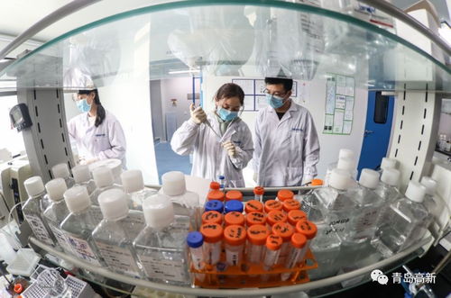 青島企業(yè)創(chuàng)新突破 三款新冠檢測試劑通過巴西權(quán)威認(rèn)證